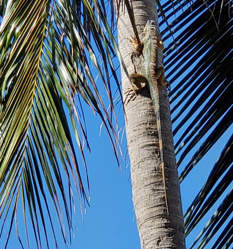 Captain Ron's Diving-Norristown必去景点