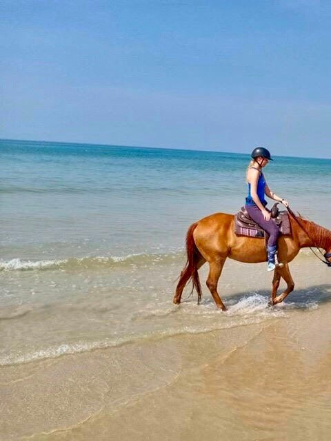 Khaolak Horse Club-拉克山必去景点