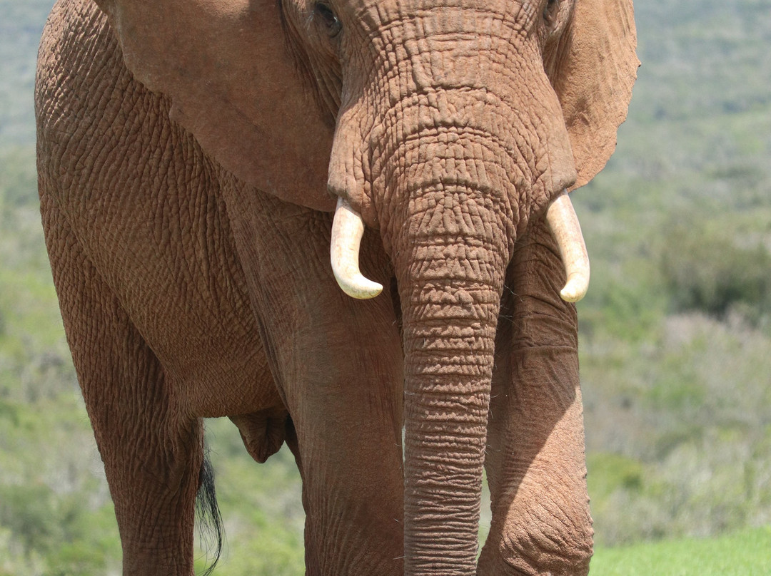 Sensing Africa-霍德斯普鲁特必去景点
