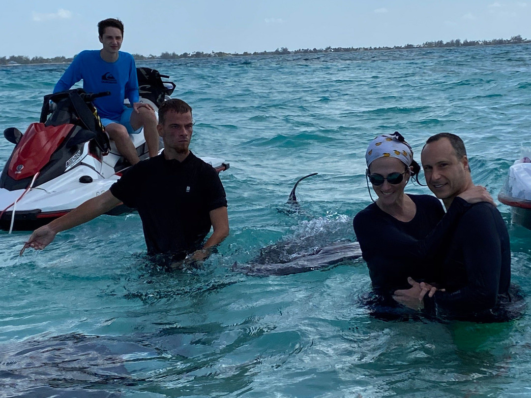 Aqua Watersports, Grand Cayman景点图片