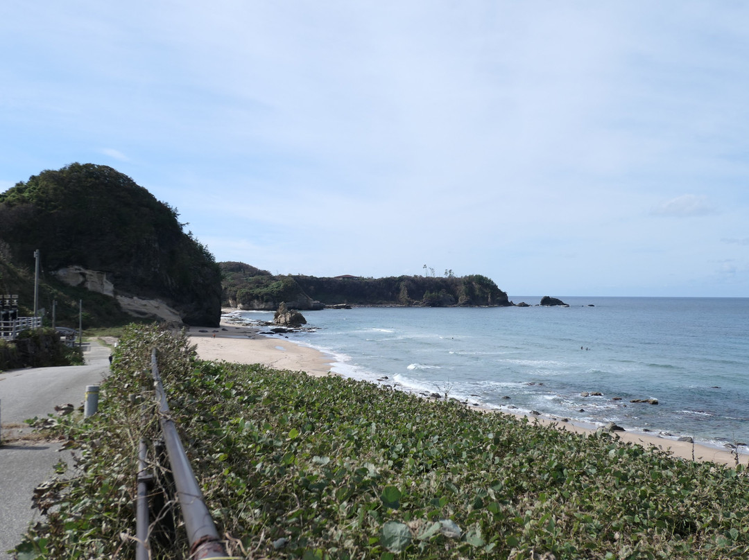 Kotogahama Beach景点图片