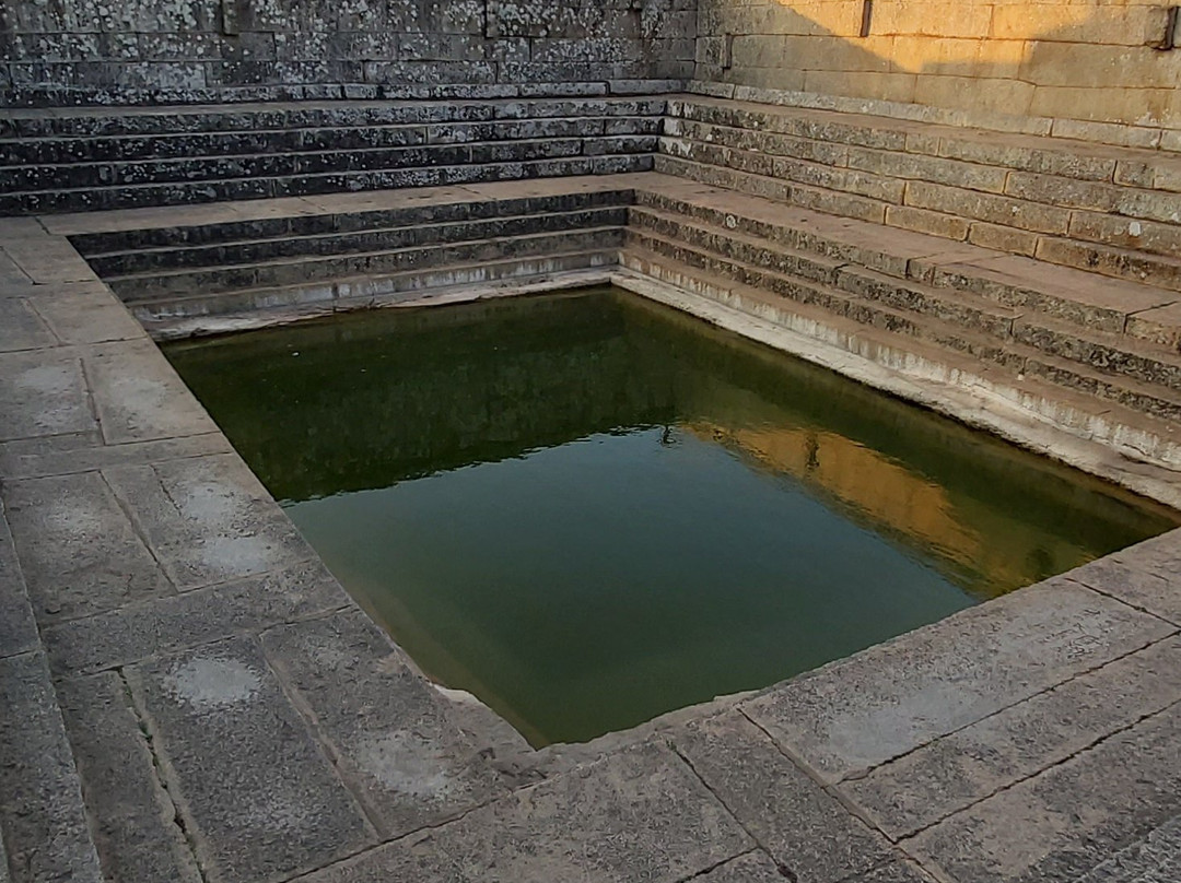 Forum Shantiniketan Mall景点图片