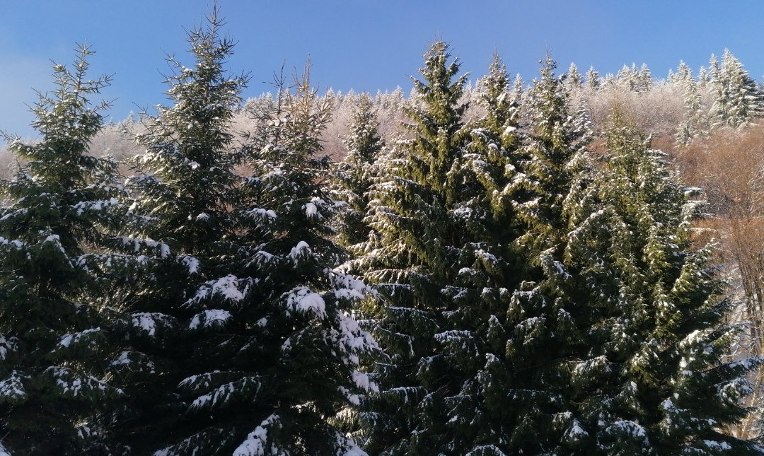 Chata nad Kralikami主图