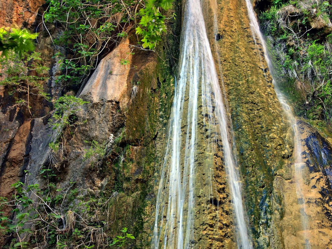 New Aurora Apts Studios主图