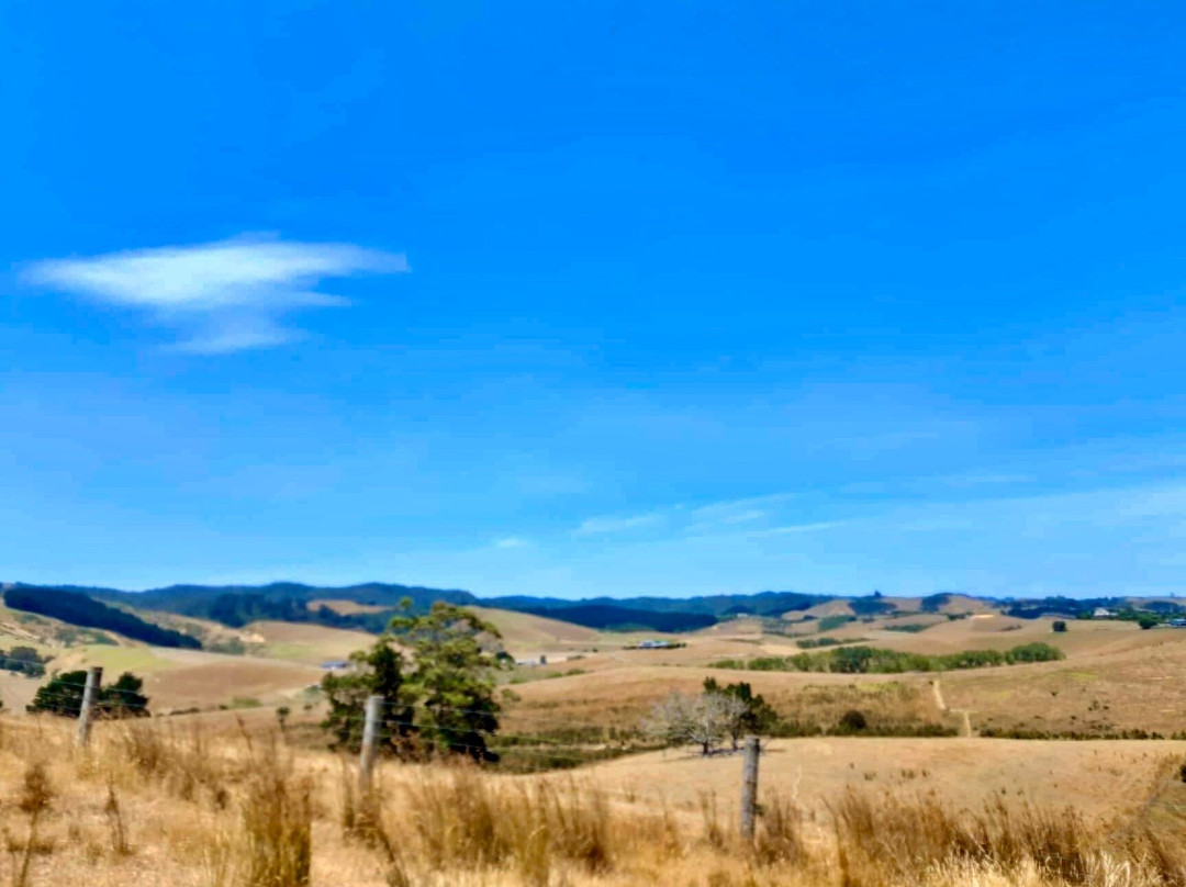 Waitawa Regional Park-奥克兰中心地区必去景点