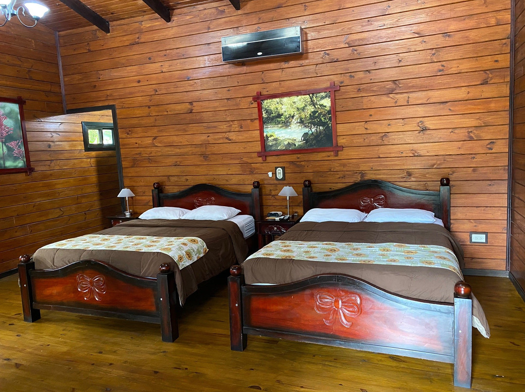 Blue River Hot Springs Eco-Adventure Tours景点图片