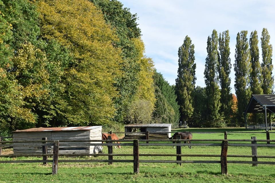 Centre Equestre le Comte-Hem必去景点