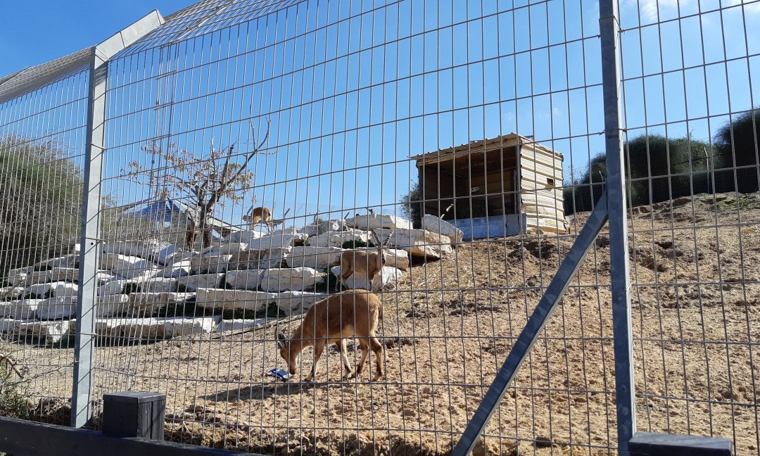 Etgarim Lakhish Park-阿什杜德必去景点