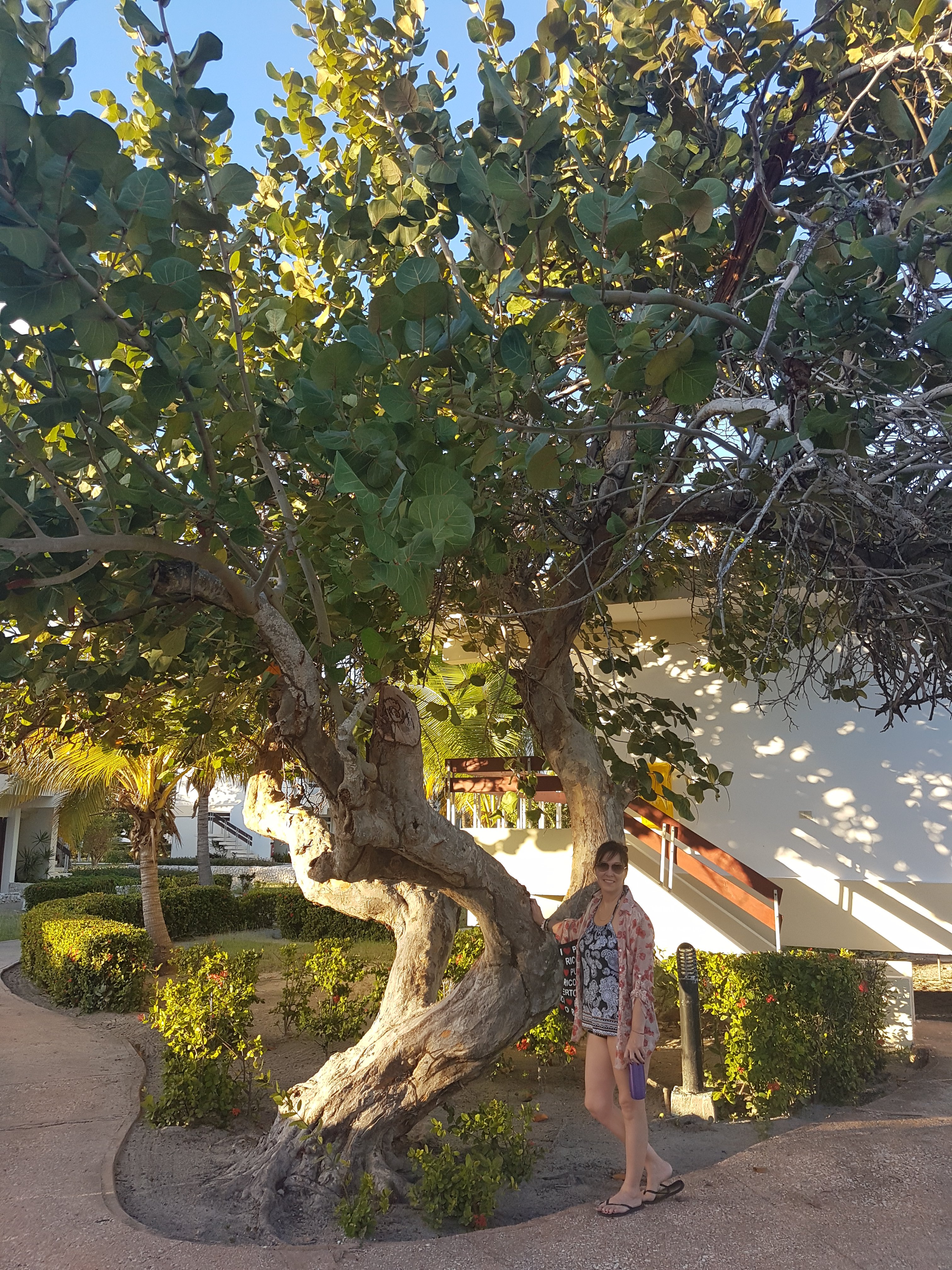 Gran Club Santa Lucía-浴室