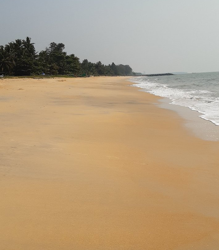 Renai Kappad Beach Resort主图