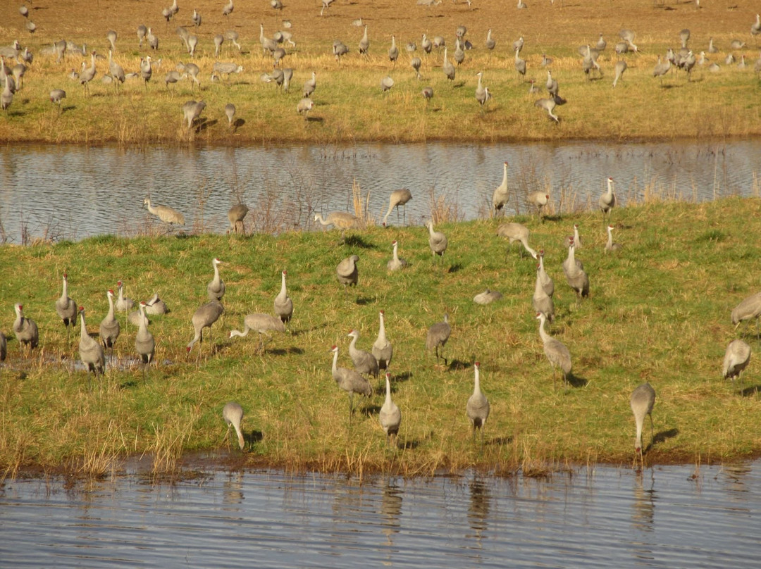 Wheeler National Wildlife Refuge景点图片