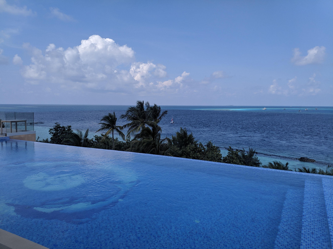 Season Paradise主图