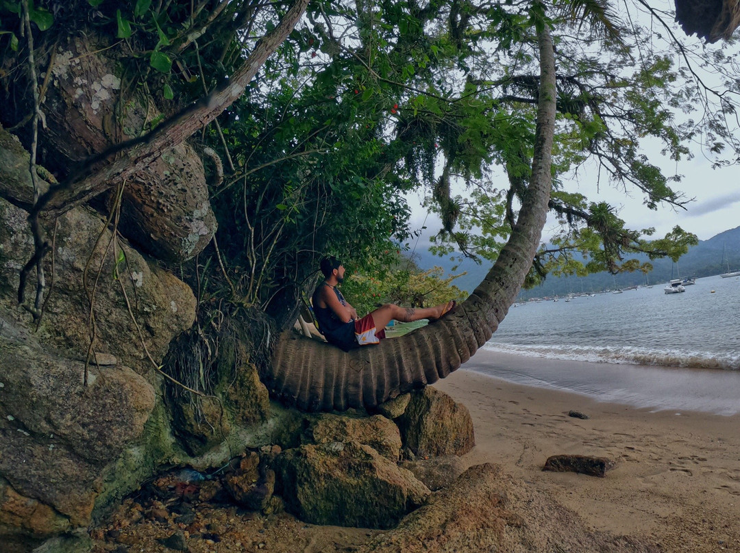 Comprida Beach (da Bica)景点图片