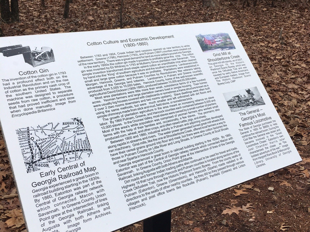 Rock Hawk Effigy and Trails-Eatonton必去景点