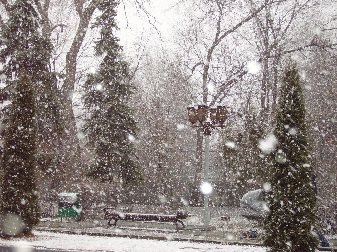 Lukomorie Park-萨拉托夫必去景点