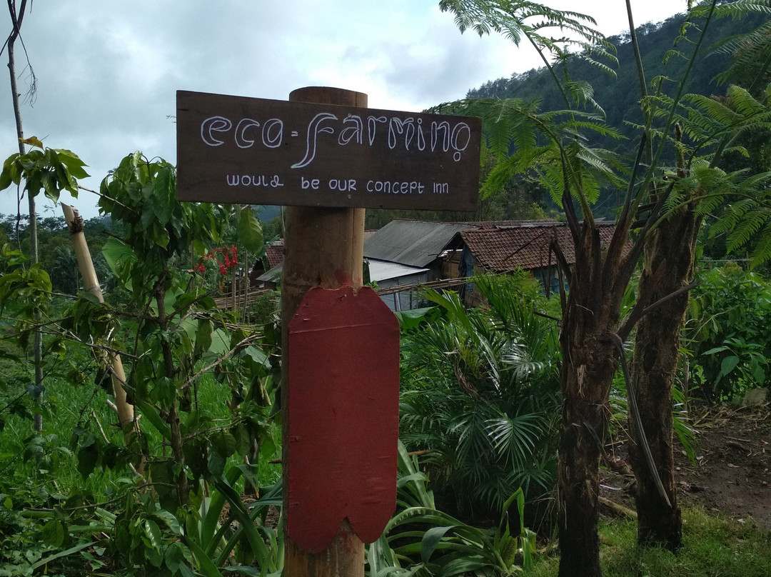 Kopikuin Bromo B&B主图