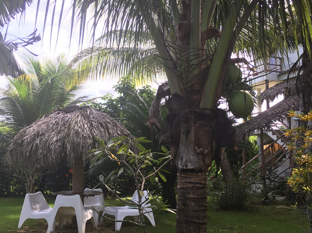 Residencia El Balata主图