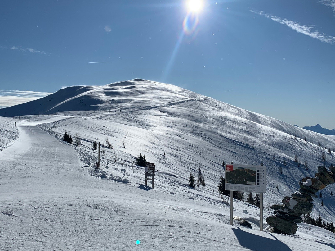 Hotel Felsenhof Bad Kleinkirchheim Wohlfühl & Genusshotel主图