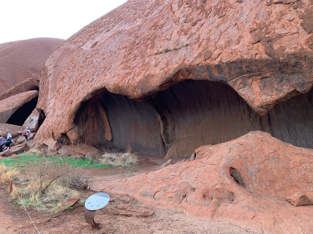 Outback Tour Services-爱丽斯泉必去景点