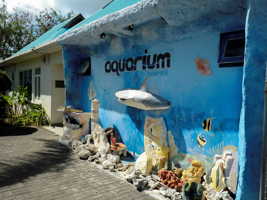 Mauritius Aquarium景点图片
