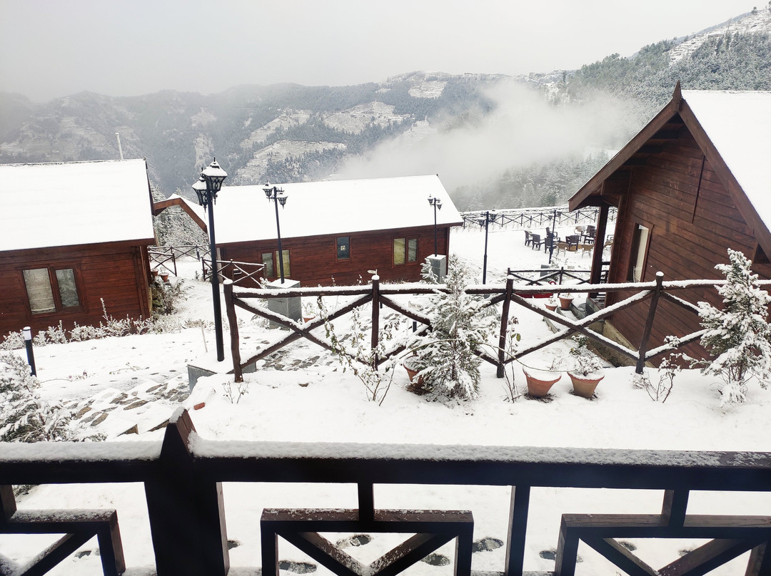 Woodays Resort主图