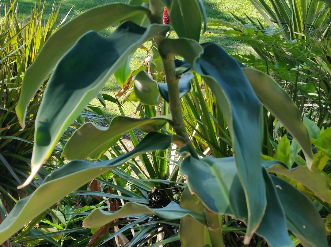 特维德河汽车旅馆主图