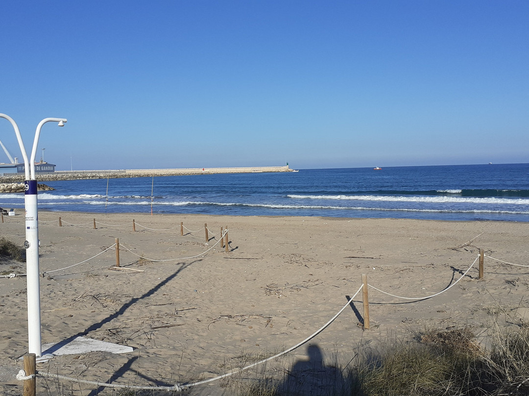 Platja dels Marenys de Rafalcaid景点图片