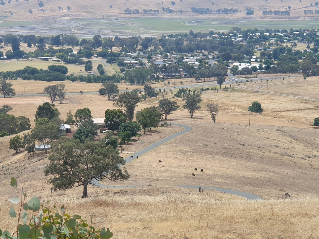 Tallangatta Lookout景点图片