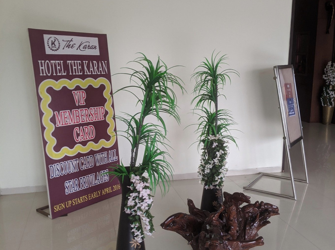 Hotel The Karan主图