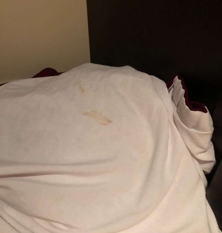 Borovets Hills Spa & Resort主图