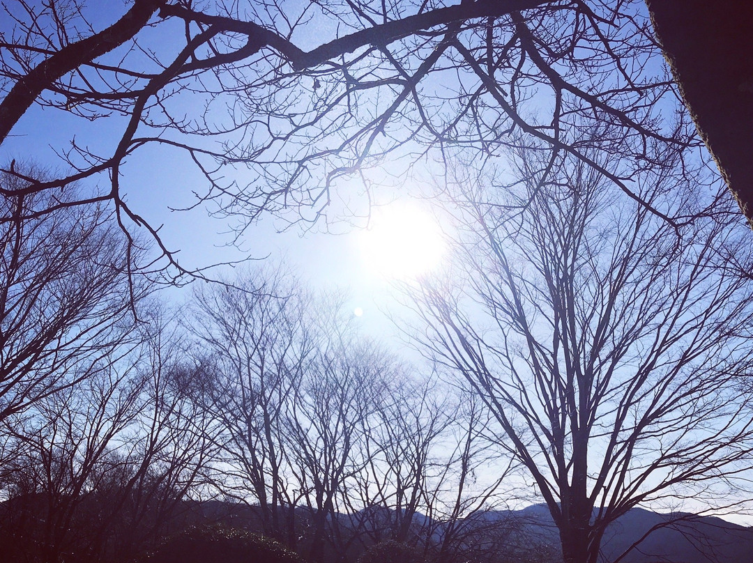 Minoyama Park-皆野町必去景点