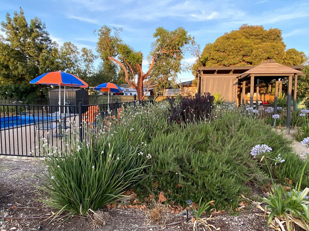 Castle Creek Motor Inn主图