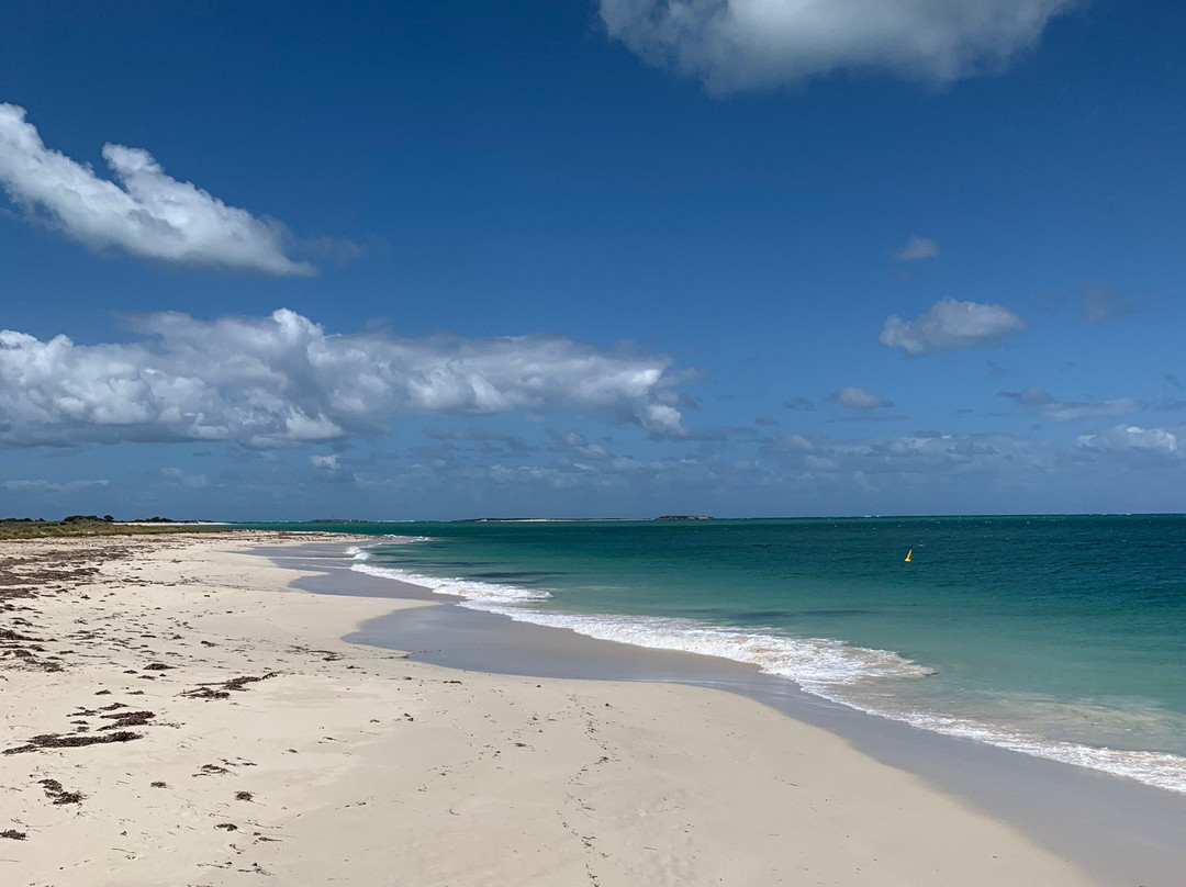 Jurien Bay Jetty景点图片