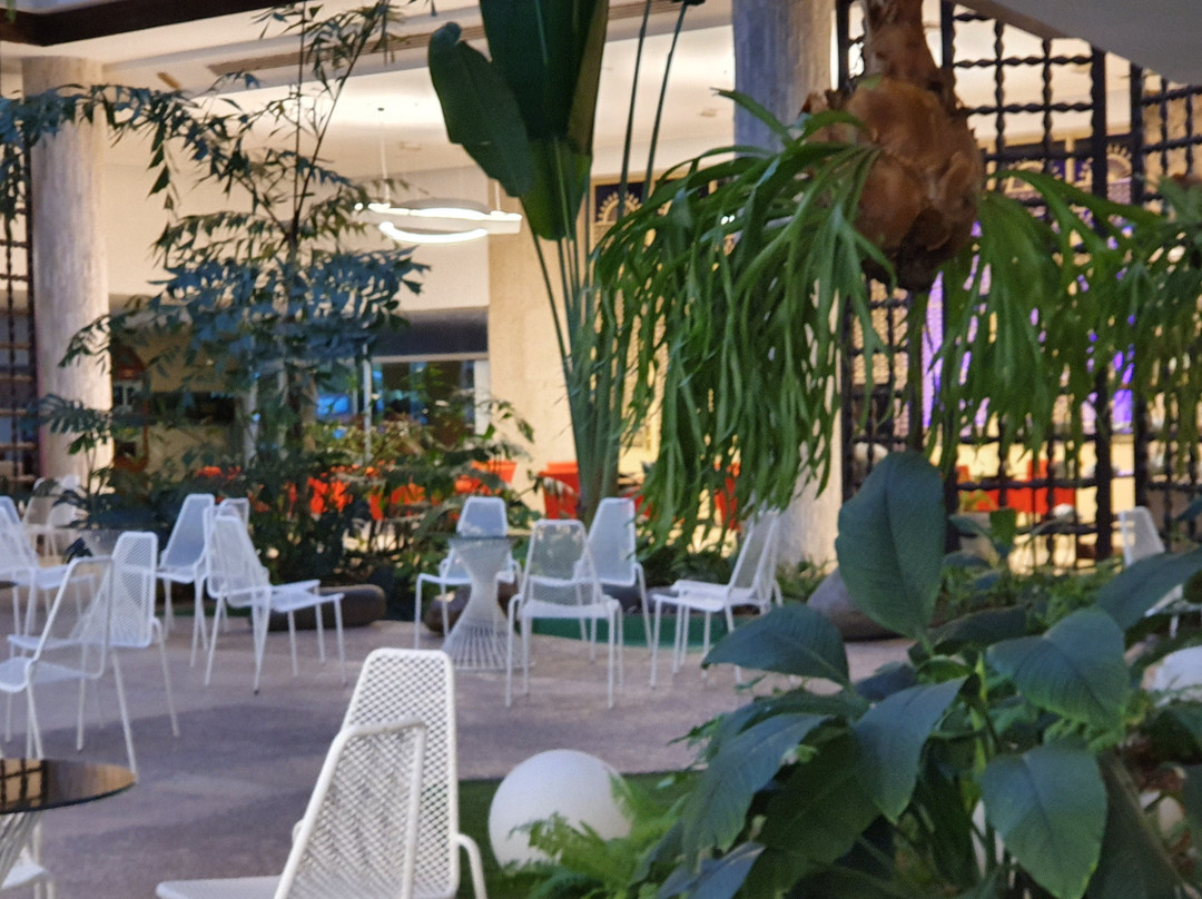 Tryp Habana Libre主图