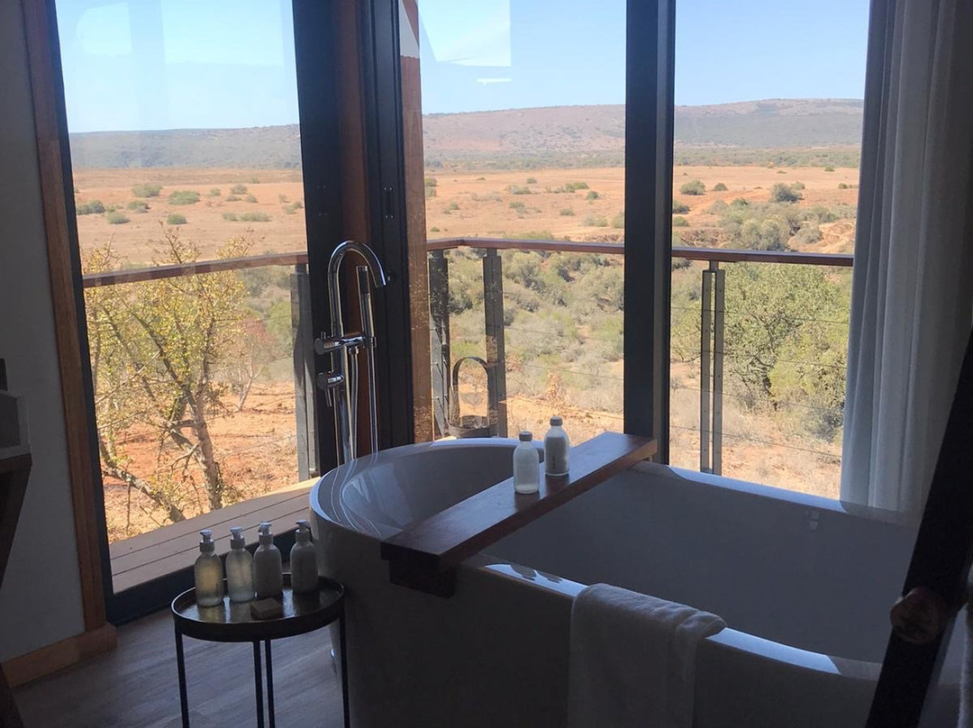 Shamwari Eagles Crag All Inclusive主图