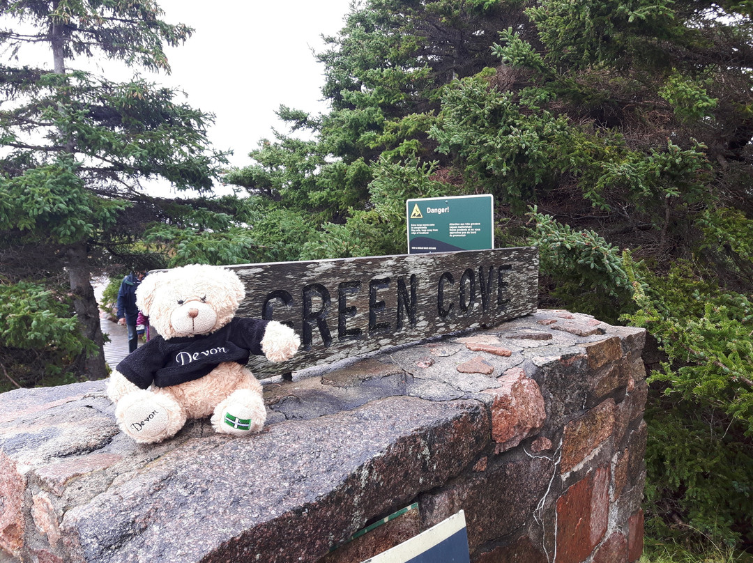 Cape Breton Highlands National Park景点图片