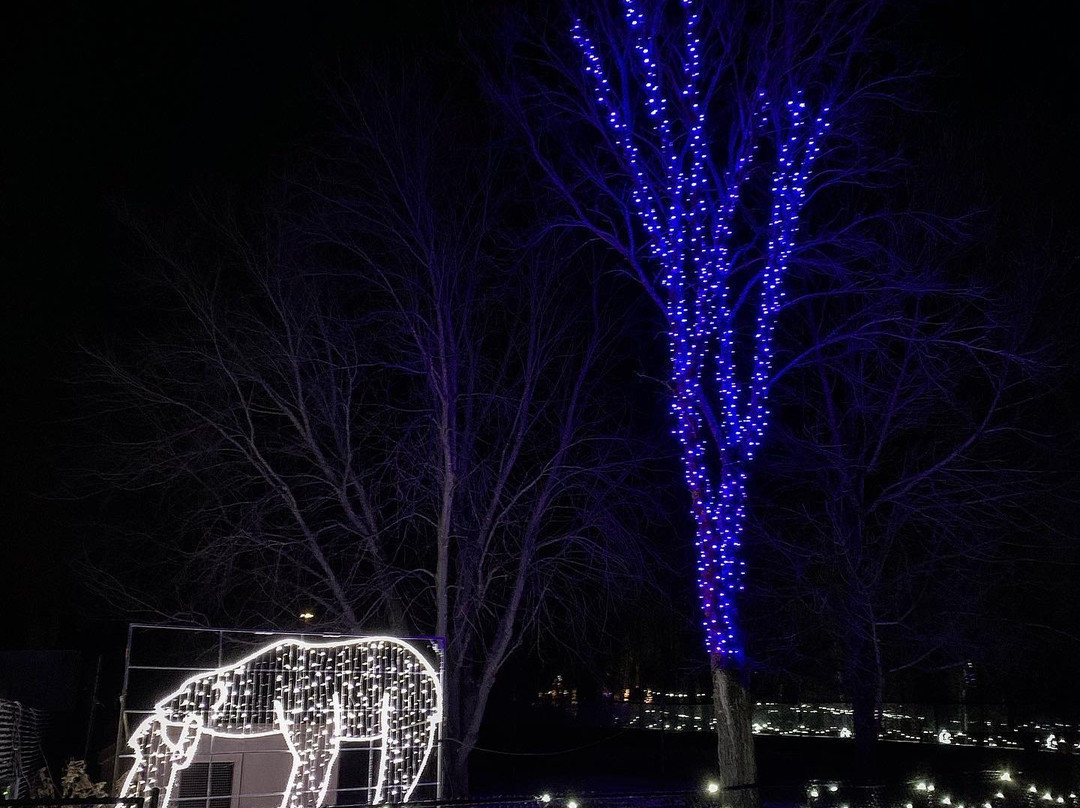 Magnetic Hill Zoo-蒙古顿必去景点