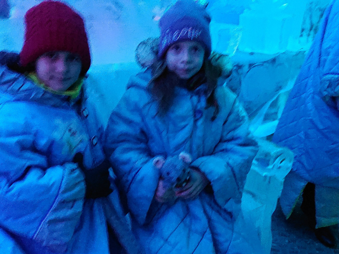 Snegurochka Hotel主图