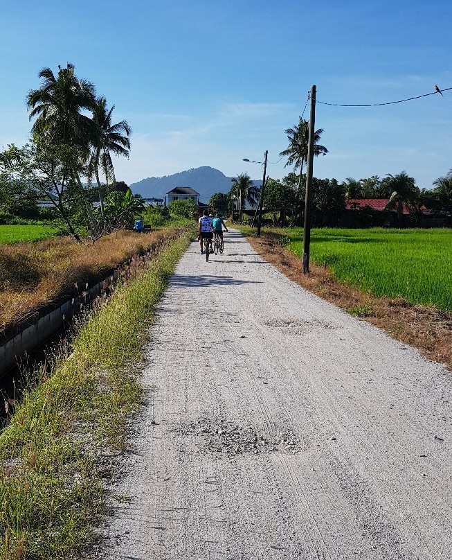 Cycling Balik Pulau景点图片
