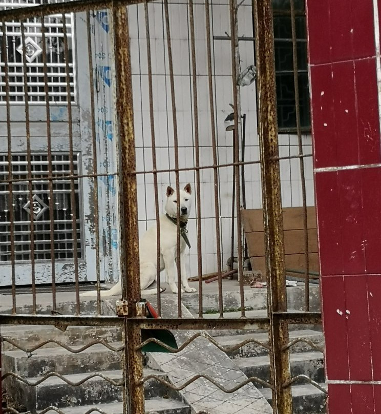 南昆山-龙门县必去景点