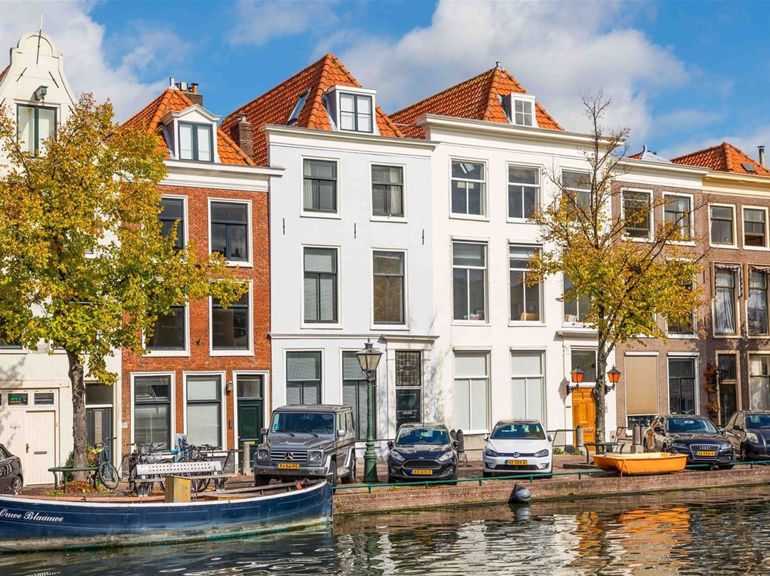 B&B Hart Van Leiden主图