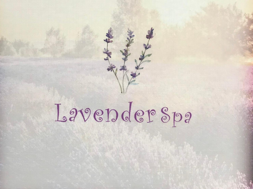 Lavender Spa Hoi An-会安必去景点