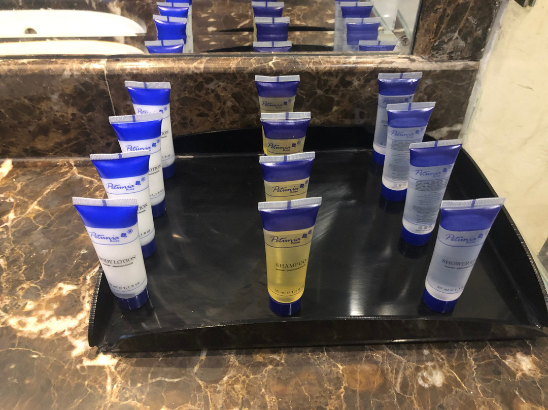 太巴千禧酒店主图