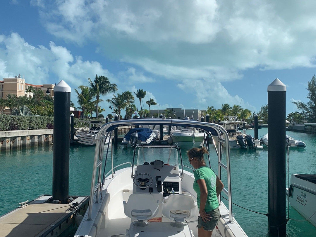 SURFside Ocean Academy-普罗维登西亚莱斯必去景点