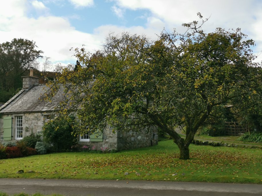 Anwoth Old Kirk-Kirkcudbright必去景点