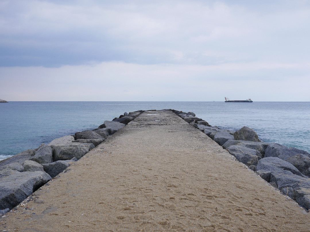 Jumunjin Beach-江陵市必去景点