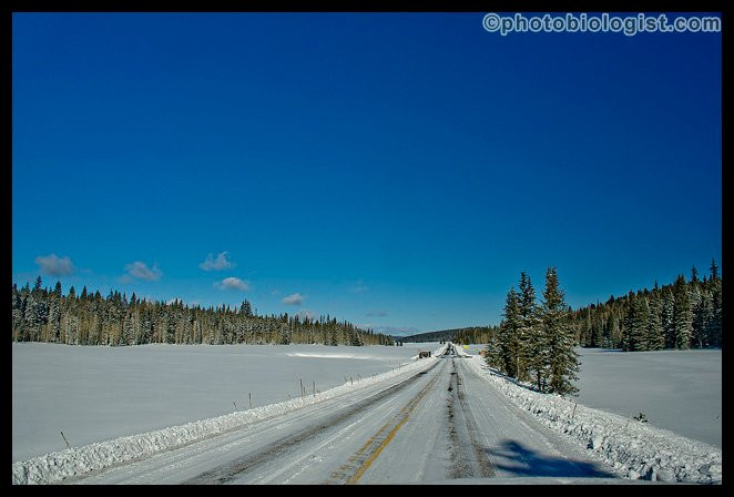 Kaibab National Forest-Jacob Lake必去景点