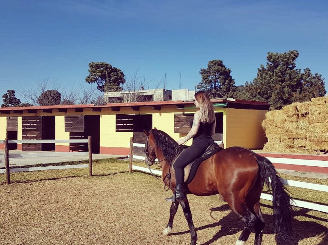 Torres, Equestrian Adventures-墨西哥城必去景点