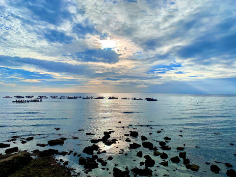 Oslob Whale Sharks-宿雾市必去景点