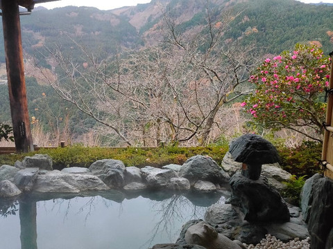 卡祖拉巴希酒店主图